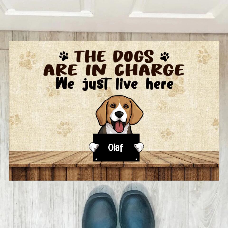 Joyousandfolksy The Dog Are In Charge, Custom Doormat, Personalized Doormat, Gift For Dog Lovers