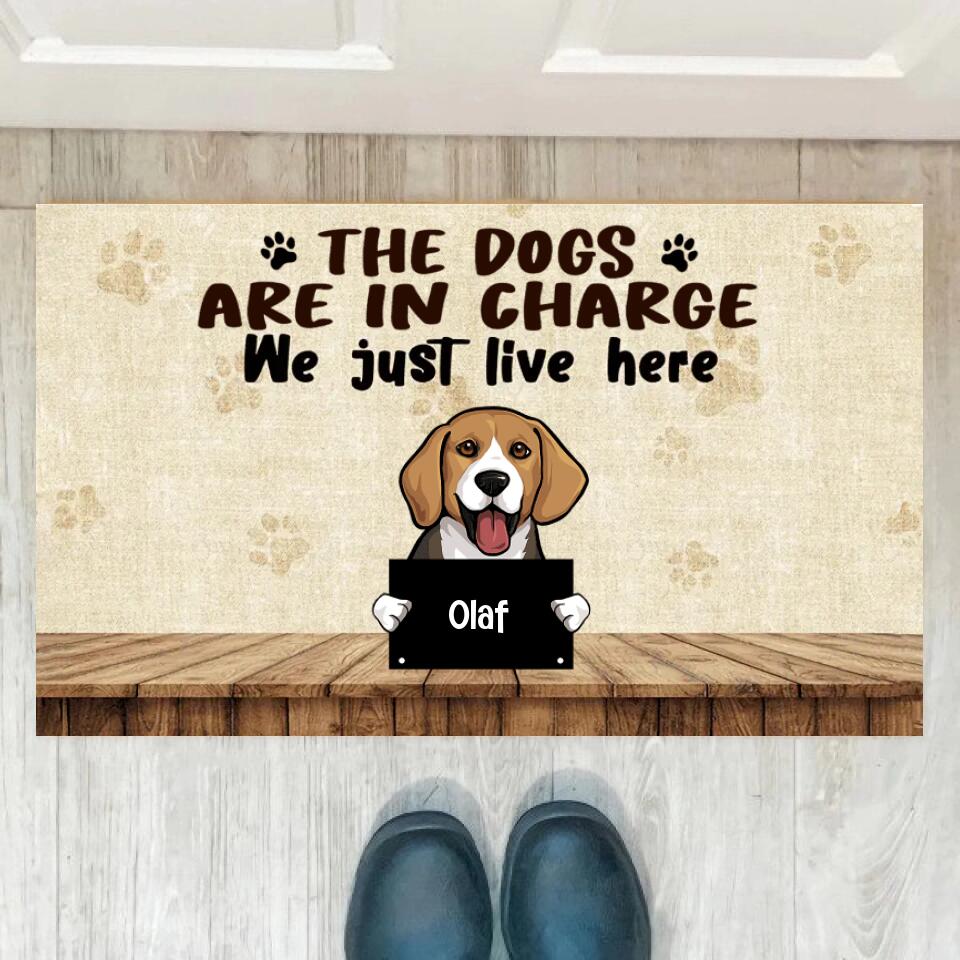 Joyousandfolksy The Dog Are In Charge, Custom Doormat, Personalized Doormat, Gift For Dog Lovers