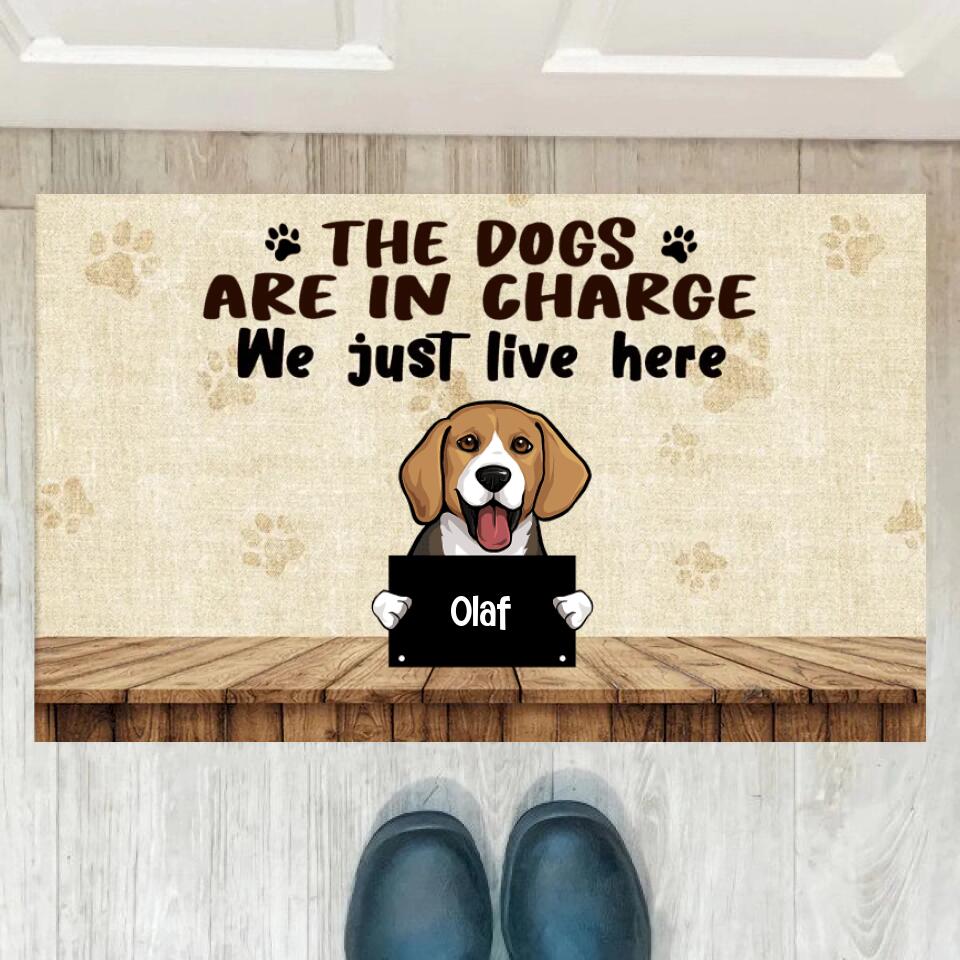 Joyousandfolksy The Dog Are In Charge, Custom Doormat, Personalized Doormat, Gift For Dog Lovers