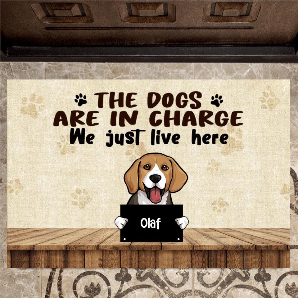 Joyousandfolksy The Dog Are In Charge, Custom Doormat, Personalized Doormat, Gift For Dog Lovers