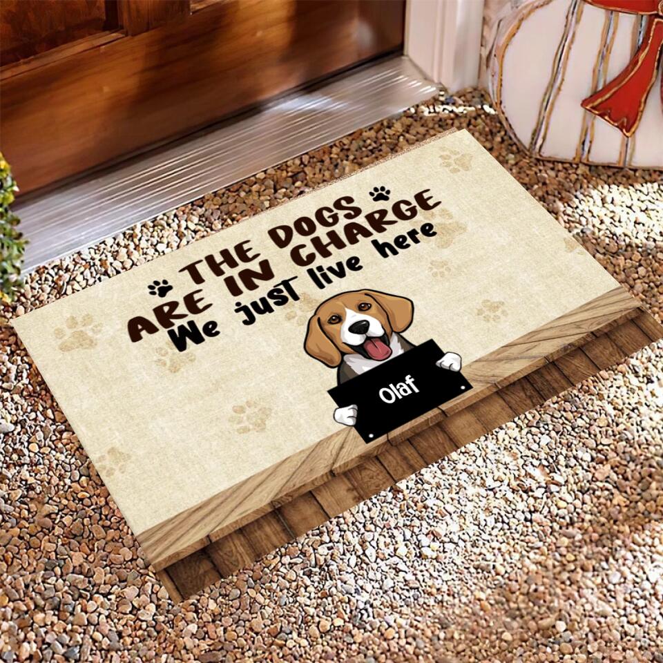 Joyousandfolksy The Dog Are In Charge, Custom Doormat, Personalized Doormat, Gift For Dog Lovers