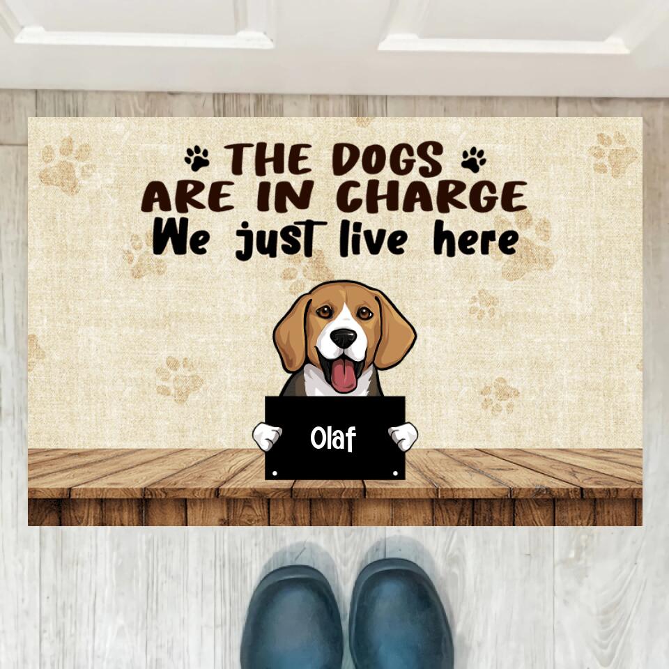 Joyousandfolksy The Dog Are In Charge, Custom Doormat, Personalized Doormat, Gift For Dog Lovers